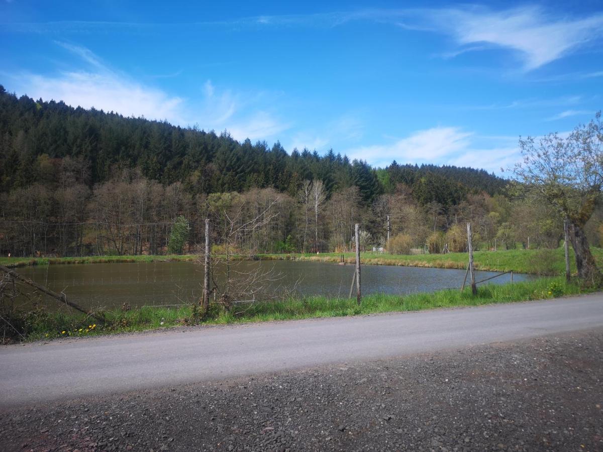 Ferienhaus Salmtal Himmerod Großlittgen Kültér fotó