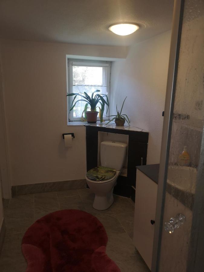 Ferienhaus Salmtal Himmerod Großlittgen Kültér fotó