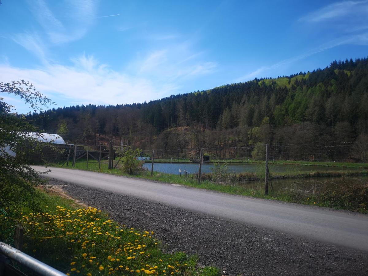 Ferienhaus Salmtal Himmerod Großlittgen Kültér fotó