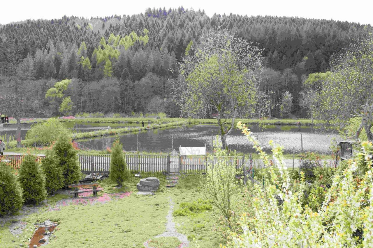Ferienhaus Salmtal Himmerod Großlittgen Kültér fotó