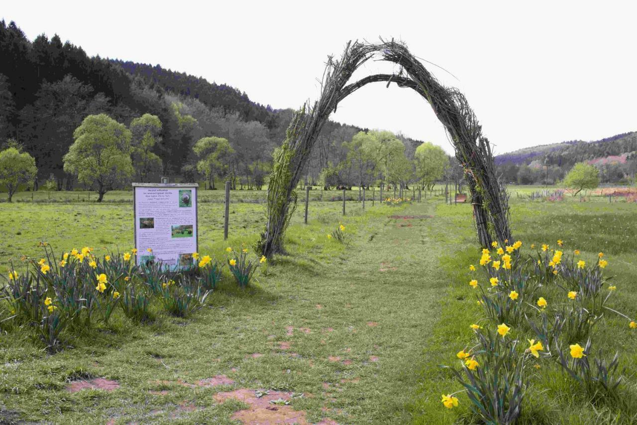 Ferienhaus Salmtal Himmerod Großlittgen Kültér fotó
