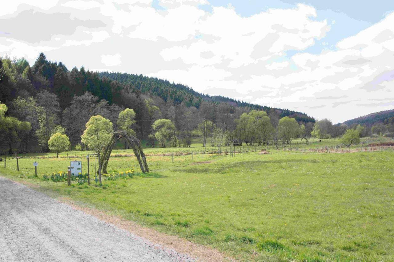 Ferienhaus Salmtal Himmerod Großlittgen Kültér fotó
